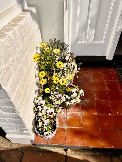 4 Bed House In Daneby Road,Se6 Villa Catford Ngoại thất bức ảnh