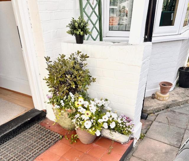 4 Bed House In Daneby Road,Se6 Villa Catford Ngoại thất bức ảnh